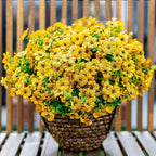 UV Resistant Colorful Artificial Flower