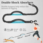 Hands Free Bungee Dog Leash with Detachable Zipper Pouch