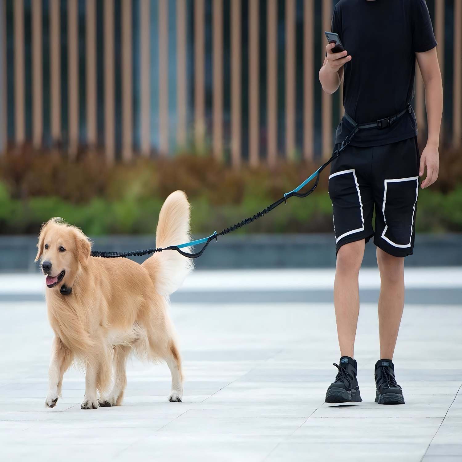 Hands Free Bungee Dog Leash with Detachable Zipper Pouch