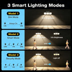 ✨3 Head Solar Motion Sensor Outdoor Light with Remote Control