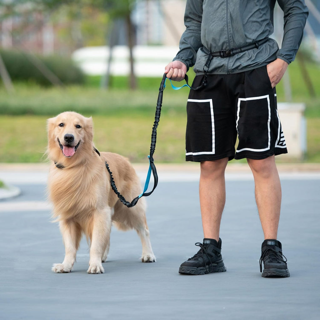 Hands Free Bungee Dog Leash with Detachable Zipper Pouch