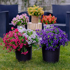 UV Resistant Colorful Artificial Flower