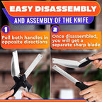 2 in 1 Kitchen Scissors for Food – Stainless Steel Blade & Plastic Cutting - Image 5