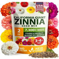 Zinnia Seeds | Pure & Filler-Free Flower Seeds for Garden