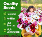 Zinnia Seeds | Pure & Filler-Free Flower Seeds for Garden