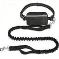 Hands Free Bungee Dog Leash with Detachable Zipper Pouch