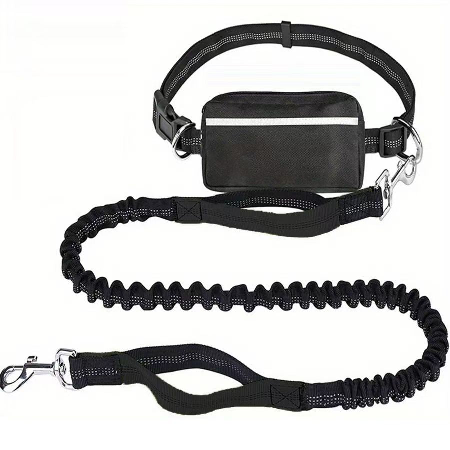 Hands Free Bungee Dog Leash with Detachable Zipper Pouch