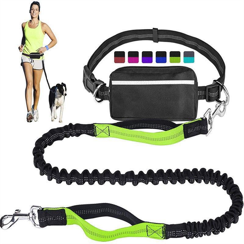Hands Free Bungee Dog Leash with Detachable Zipper Pouch