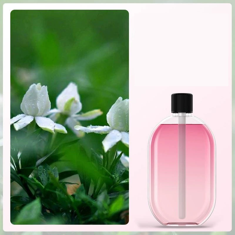 🌸 Essential Oil Diffuser USB Powered with Light ✨