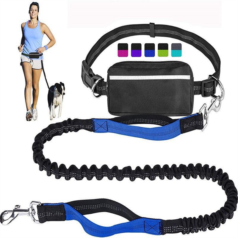 Hands Free Bungee Dog Leash with Detachable Zipper Pouch