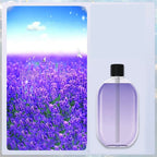🌸 Essential Oil Diffuser USB Powered with Light ✨