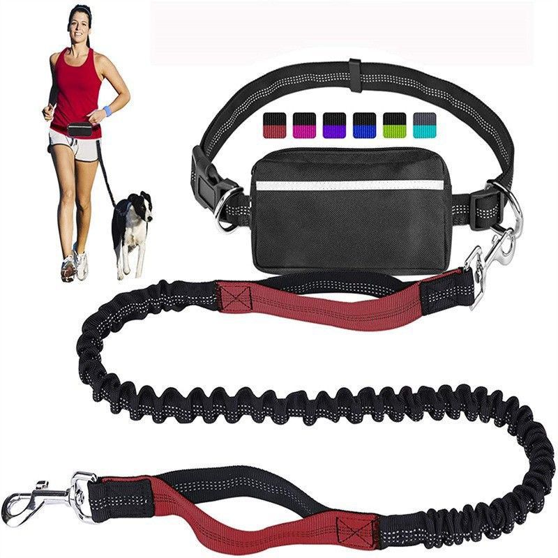 Hands Free Bungee Dog Leash with Detachable Zipper Pouch