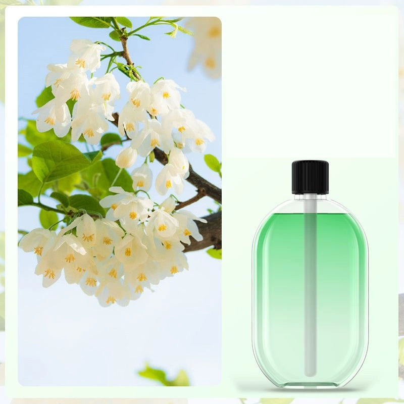 🌸 Essential Oil Diffuser USB Powered with Light ✨
