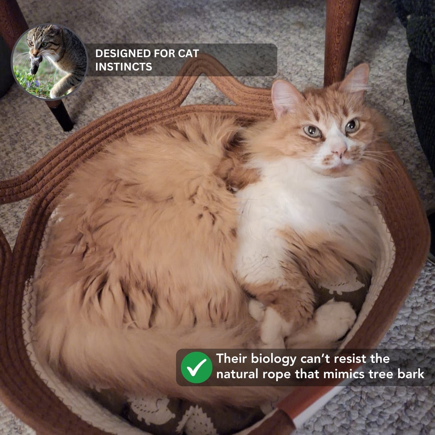Portable Handwoven Cozy Cat Nest Bed