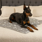 Washable Leak-Proof Absorbent Pup Pads