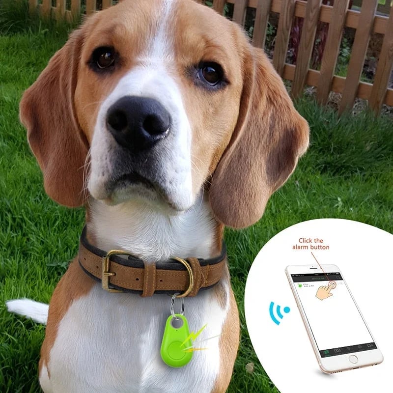 🔥Intelligent Tracking Locator