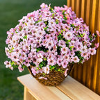 UV Resistant Colorful Artificial Flower