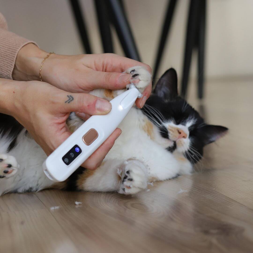 Silent Pet Trimmer