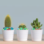 Colorful Glow-in-the-Dark Garden Stones