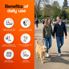 Massage insoles benefits graphic featuring icons and text on a vibrant orange background with a couple walking a dog.